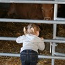 Wainfleet Fall Fair 2009
